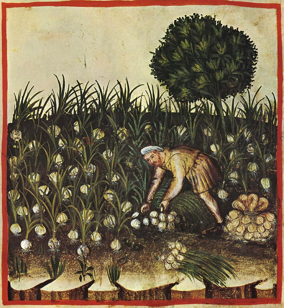 Sezione Recupero 2