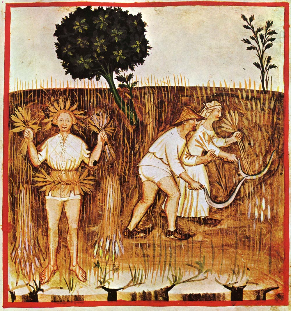 Sezione Recupero 1